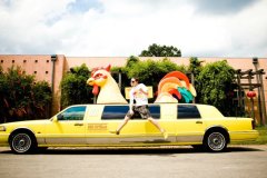 Chicken-Limo-Indianapolis2